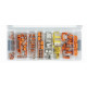 Boite WAGO L-Boxx micro avec bornes séries 2273 & 221 - 887-802 