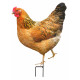 Animaux de la ferme sur pique (lot de 4) 