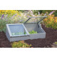 Serre de jardin en pin 41 cm de hauteur gris 