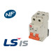 Disjoncteur modulaire 63a 2p (courbe d) 