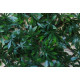 Treillis feuilles de vigne vierge jet7garden 1,00x2,00m - vert 