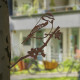 Oiseau sur pique mésange bleue en acier corten 