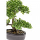Mini bonsaï ficus artificiel vert 32 cm 420002 