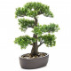 Mini bonsaï ficus artificiel sur plaque marronne 43 cm 