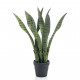 Plante artificielle sansevieria 55 cm en pot 