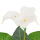 Plante artificielle avec pot lis calla 45 cm blanc 
