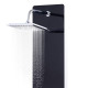 Panneau de douche pomme de douche robinet verre acier inoxydable 130 cm noir  