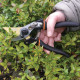 Black+decker sécateur 21 cm 32162 