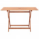 Table pliable de jardin 120x70x75 cm bois d'eucalyptus solide 
