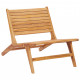 Chaise de jardin avec repose-pied bois de teck solide 