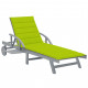 Chaise longue de jardin avec coussin bois d'acacia solide - Couleur au choix Vert Vif