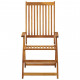 Chaises inclinables de jardin 2 pcs avec coussins bois d'acacia 