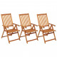 Chaises pliables de jardin 3 pcs avec coussins bois d'acacia 