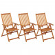 Chaises pliables de jardin 3 pcs avec coussins bois d'acacia rouge bordeaux 
