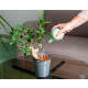 Pulvérisateur arrosoir sprizzy 240ml, prpa000b 