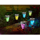 Borne décorative 2 leds 1couleur et 1blanc 