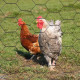 Grillage à poule 1x10 m virage - gris 