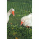 Grillage à poule 1 x 10 m hexagonal galva 