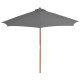 Parasol d'extérieur avec mât en bois 300 cm - Couleur au choix Anthracite