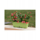 Lot de 2 jardinières eva 57 - riviera- coloris au choix 