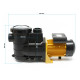 Pompe piscine 14500l/h 750 watts pompe filtration circulation eau pool  16_0001463 
