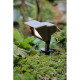 Spot bronze12, bronze antique, led 