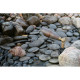 Spot bronze9, cuivre et laiton, led 