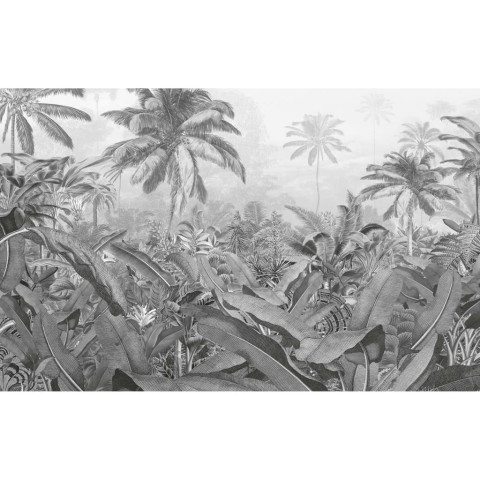 Papier peint photo amazonia noir et blanc 400x250 cm