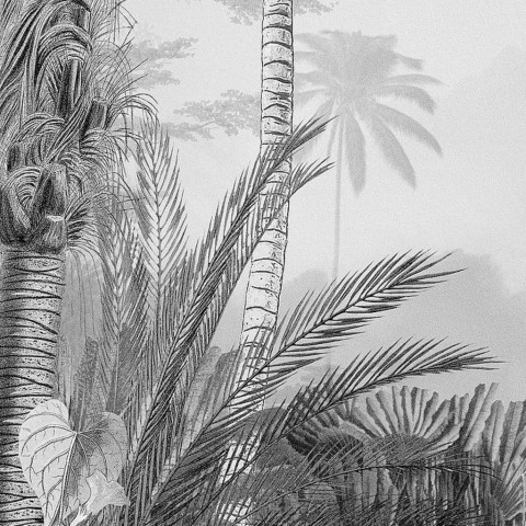 Papier peint photo lac tropical black & white 200x270 cm