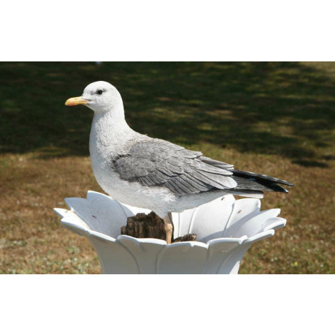 Mouette sur son rocher en résine 36 cm