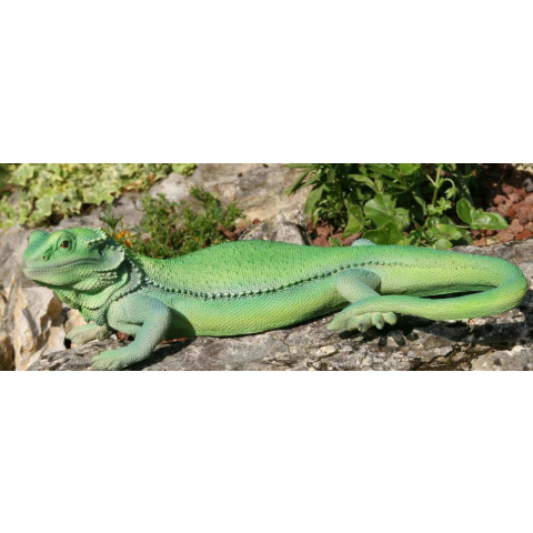 Iguane en résine 46 cm