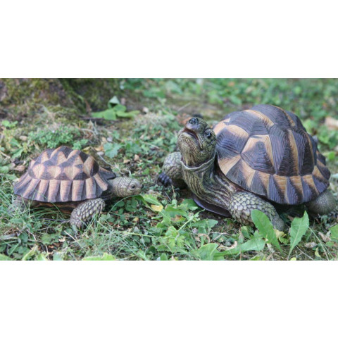 Tortue verte en résine grand modèle