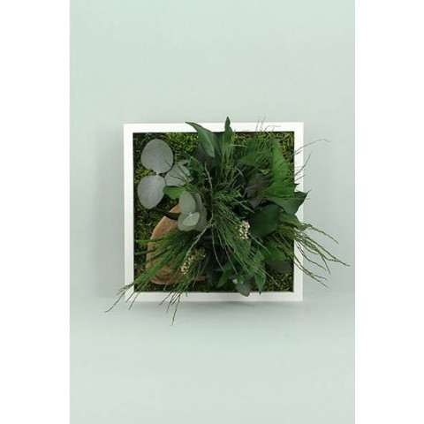 Tableau nature mono avec plantes stabilisées