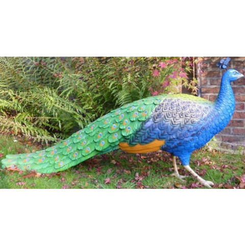 Paon à couronne en résine taille réelle