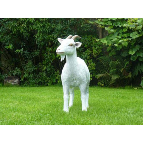 Chèvre adulte en résine 80 cm