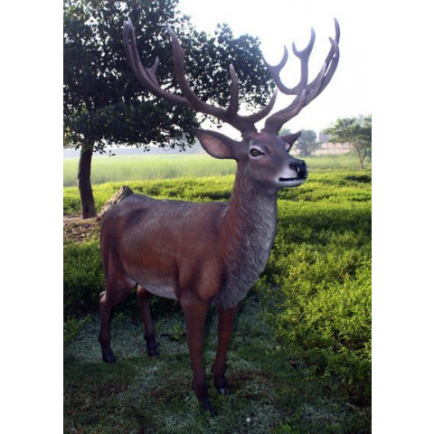 Cerf adulte en résine taille réelle