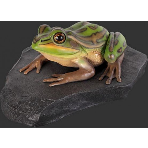 Grenouille en résine 34 cm