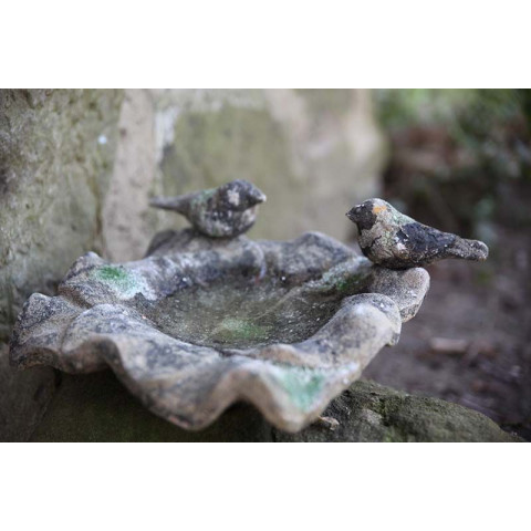 Bain à oiseau déco mousse