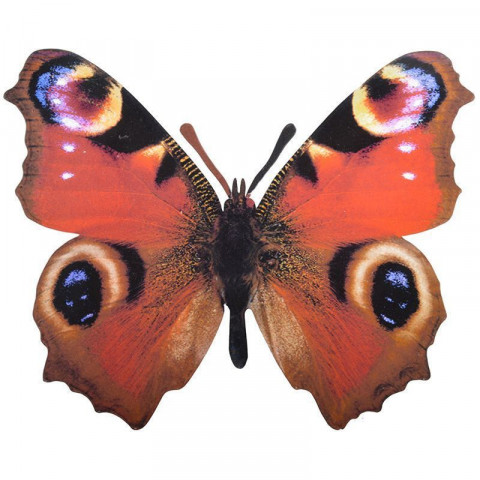 Décoration murale papillon (lot de 2)
