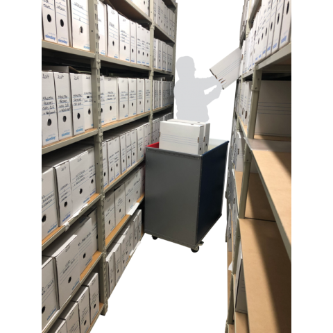 Chariot niveau constant polypropylène 850 x 650 mm 25 kg - 805010702