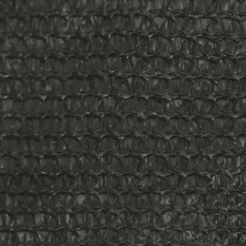 Voile d'ombrage 160 g/m² anthracite 4x4 m pehd