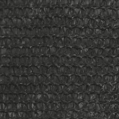 Voile d'ombrage 160 g/m² anthracite 2x2,5 m pehd