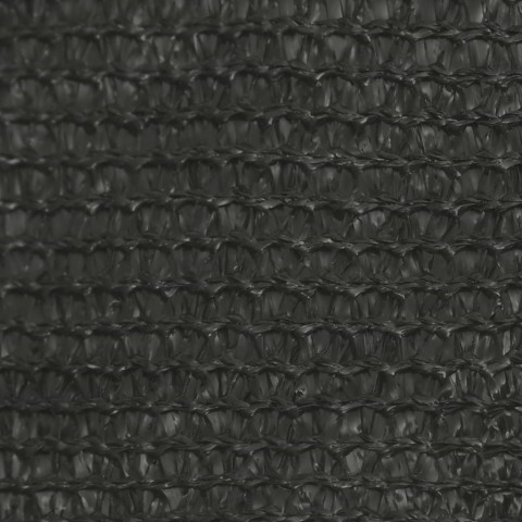 Voile d'ombrage 160 g/m² anthracite 2,5x3 m pehd