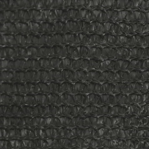 Voile d'ombrage 160 g/m² anthracite 3x4,5 m pehd