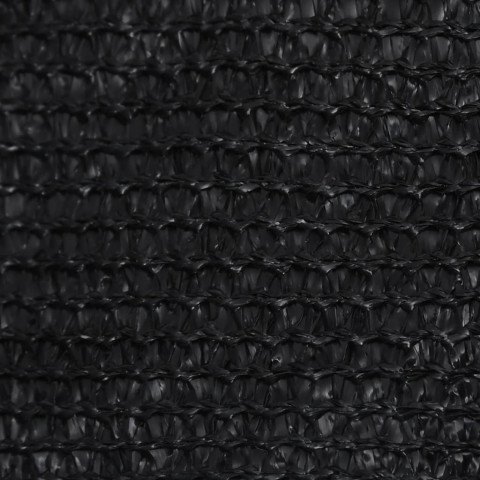 Voile d'ombrage 160 g/m² noir 2,5x4 m pehd