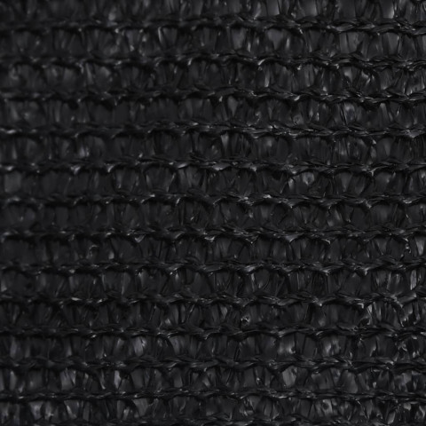Voile d'ombrage 160 g/m² noir 4x4x5,8 m pehd