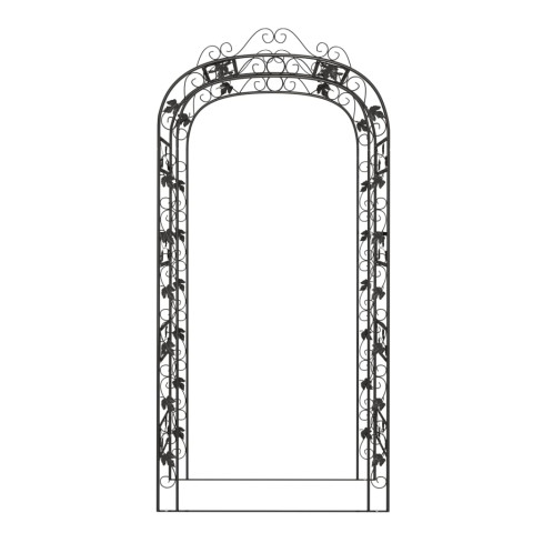 Arche de jardin noir 116x45x240 cm acier