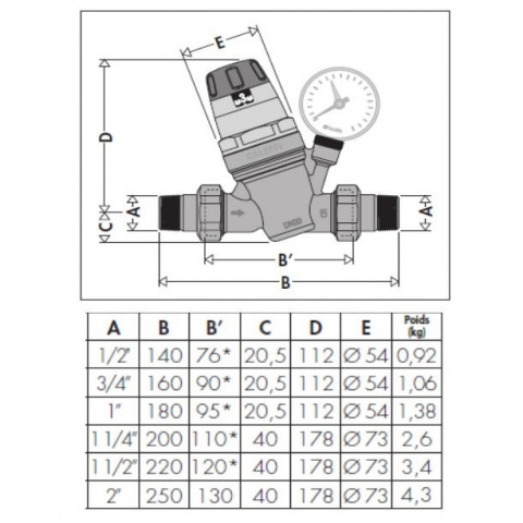 Réducteur de pression 535 1/2 thermador avec ru et manomètre - r53515