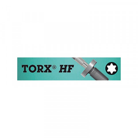 Embout pour vis TORX® 1/4'', 25 mm long, semi-dur, profil fraisé avec porte-vis, Dimensions : T 10