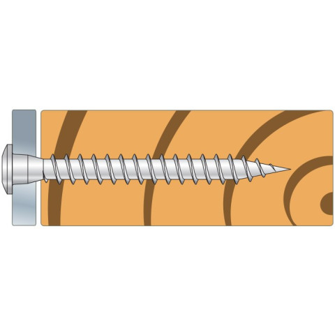 Vis pour connecteurs tête Torx CSA-S - Inox A4 - Boite de 250 - Dimensions au choix